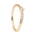ANILLO P DE PAOLA DOS CIRCONITAS LAND NATURE - AN01-852-12