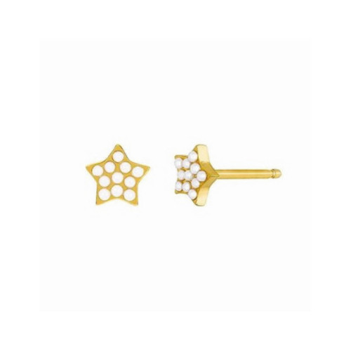 PENDIENTES MAREA ESTRELLA - D02101/AP