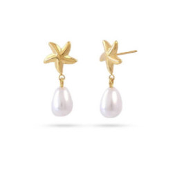 PENDIENTES ANARTXY STAR - DPE125COM