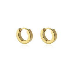PENDIENTES ANARTXY AROS SARIL - BPE560PL