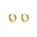 PENDIENTES ANARTXY AROS SARIL - BPE560PL